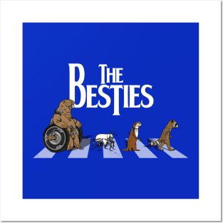 The Besties Superhero Guardian Raccoon And Friends Abbey Road Parody Posters and Art